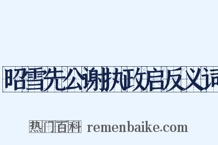昭雪先公谢执政启反义词是什么意思的图片